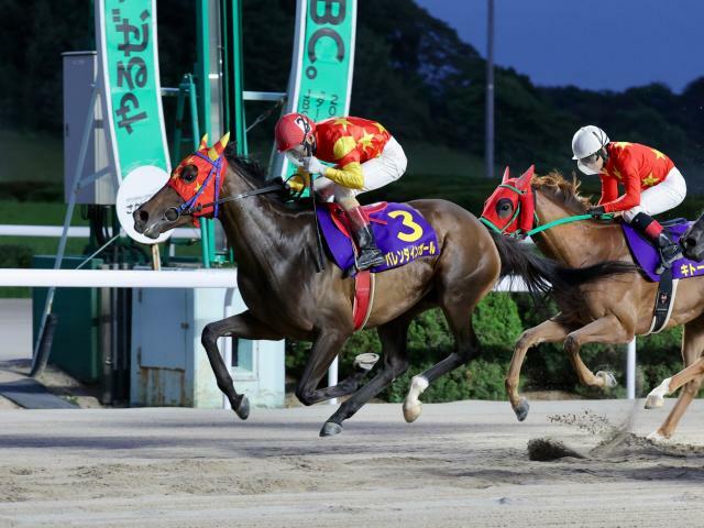 ロータスクラウン賞制したバレンタインガール(提供：佐賀県競馬組合)