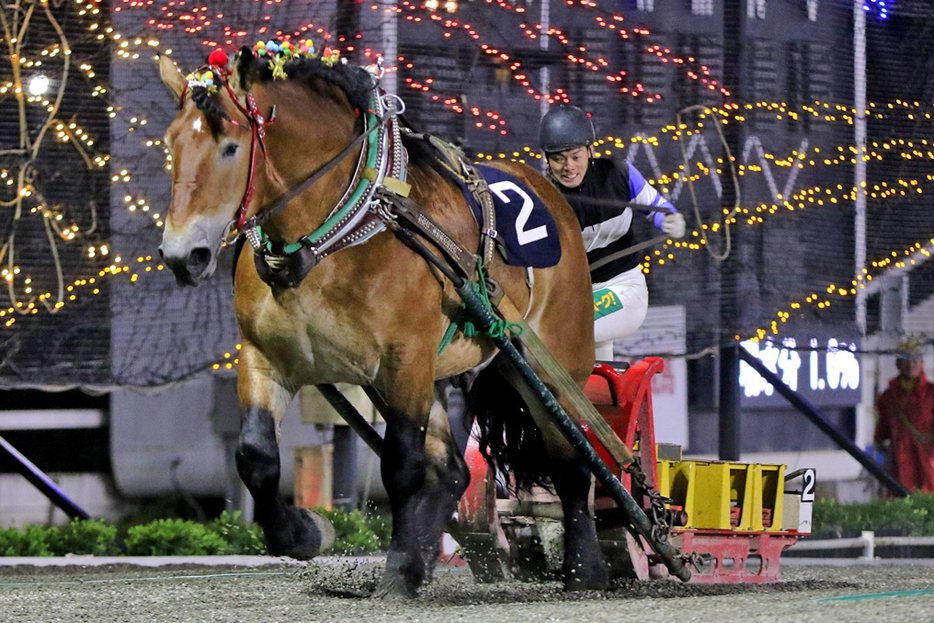 銀河賞・タカラキングダムと金田利貴騎手 (C)ばんえい十勝