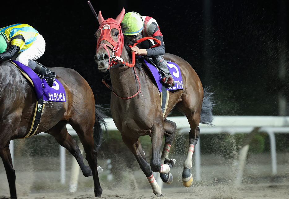 ヴィーナススプリント・ミニアチュールと佐々木志音騎手 (C)岩手県競馬組合