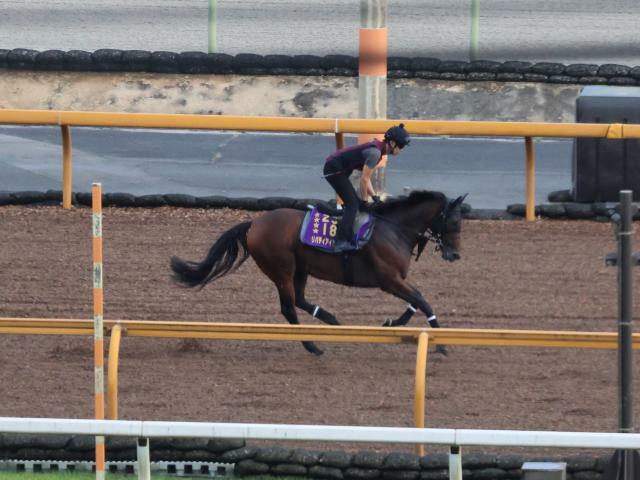 帰厩したリバティアイランド(撮影：井内利彰)