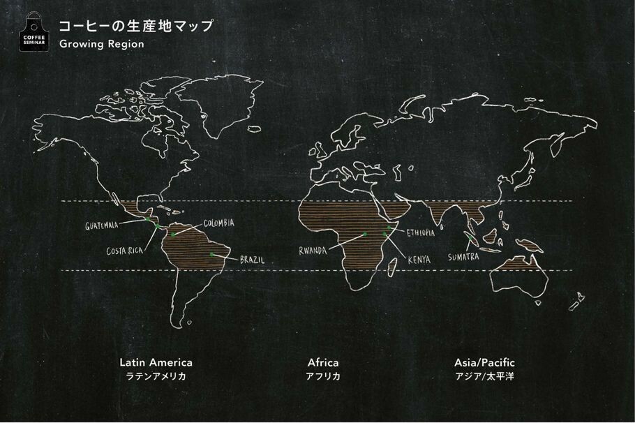 コーヒー豆の個性を決める産地の違い。まずはラテンアメリカ、アフリカ、アジア/太平洋で区別しよう