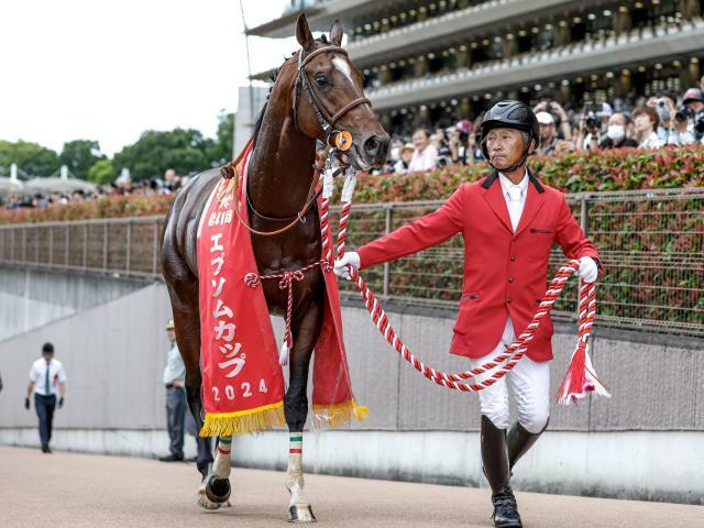 オールカマーに出走予定のレーベンスティール(撮影：下野雄規)