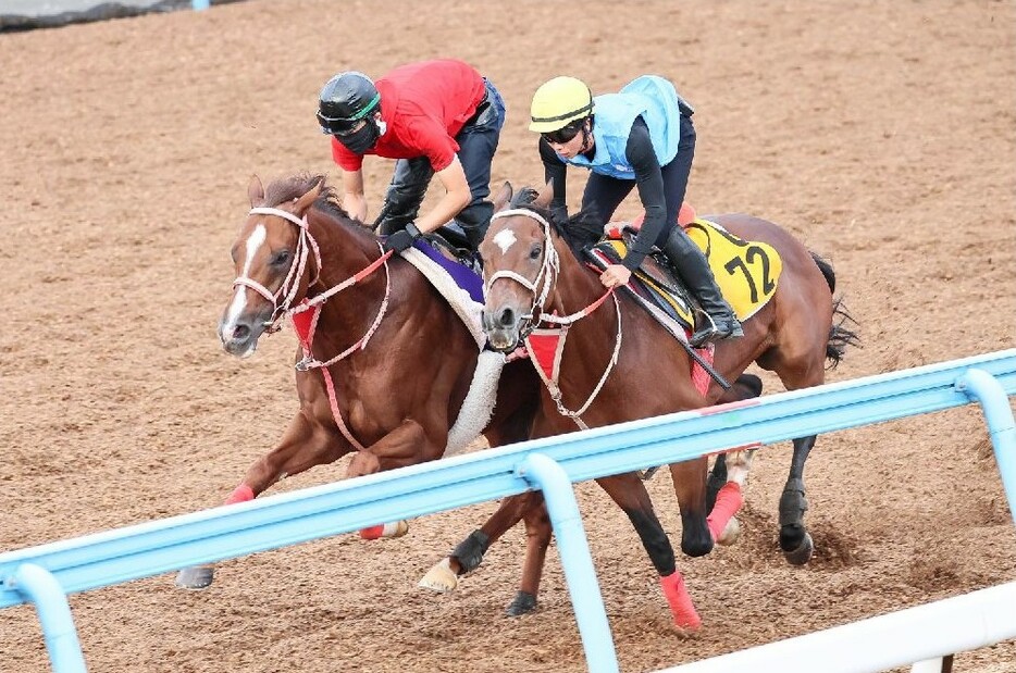 一昨年の2着馬であることを忘れてはいけないウインマーベル(左)