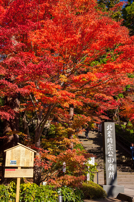 円覚寺。