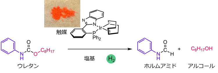 新しく開発したイリジウムの触媒は、塩基（tert-ブトキシセシウム）を添加して水素を満たした中において低分子のウレタンを水素化分解し、ホルムアミドとアルコールにする（岩﨑孝紀東大准教授提供）
