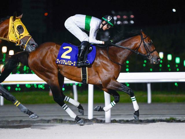 勝利したウィリアムバローズ(撮影：高橋正和)