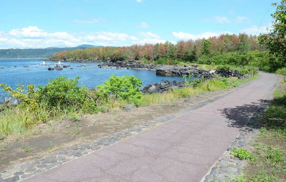 鹿児島市が観光施設を整備する「鶴崎灰捨場跡地」付近の海岸＝１３日、鹿児島市桜島横山町