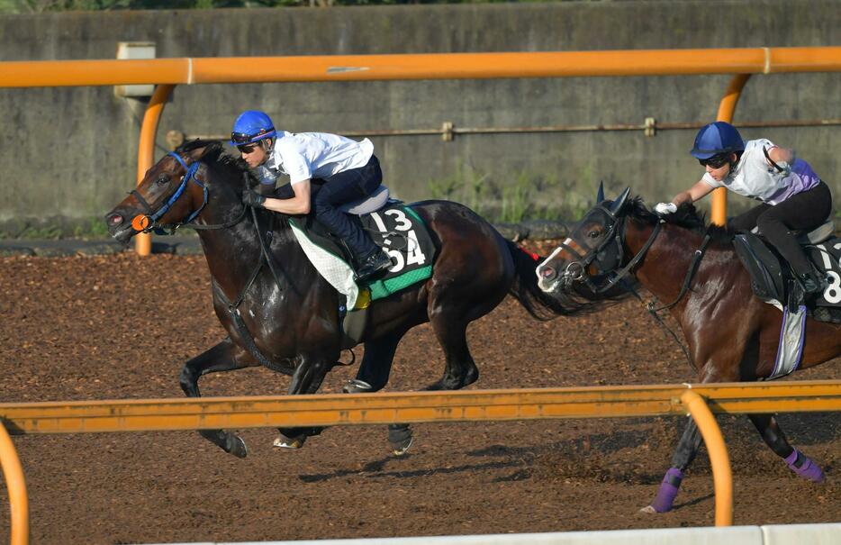 　武豊を背に先着するサブマリーナ（左）＝撮影・石湯恒介