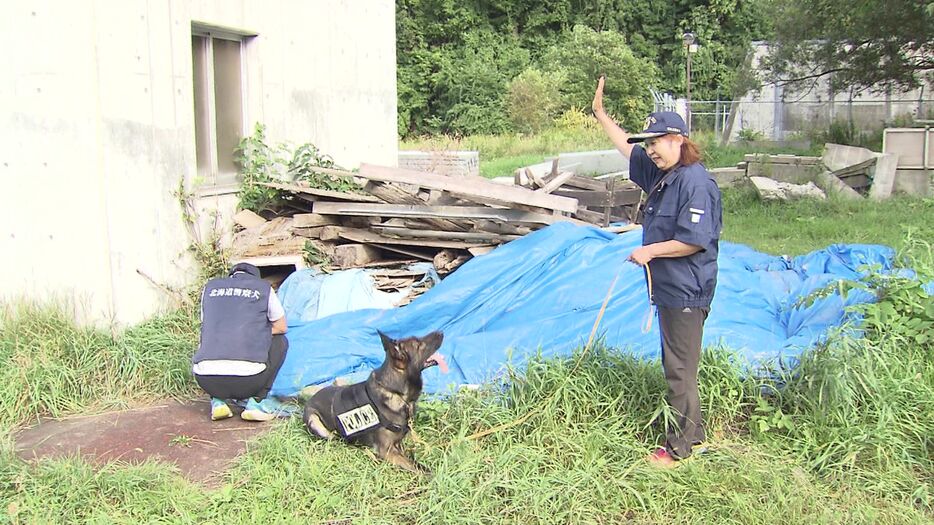 犯人役を見つけたグウくん