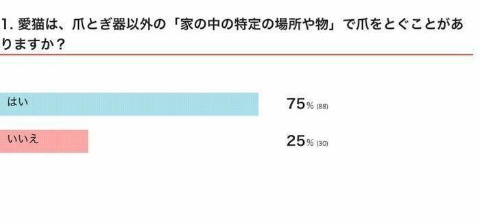 ※2024年6月実施「ねこのきもちアプリ」内アンケート調査（回答者数 118人）