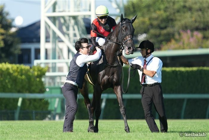 先週の紫苑Sを快勝したクリスマスパレード