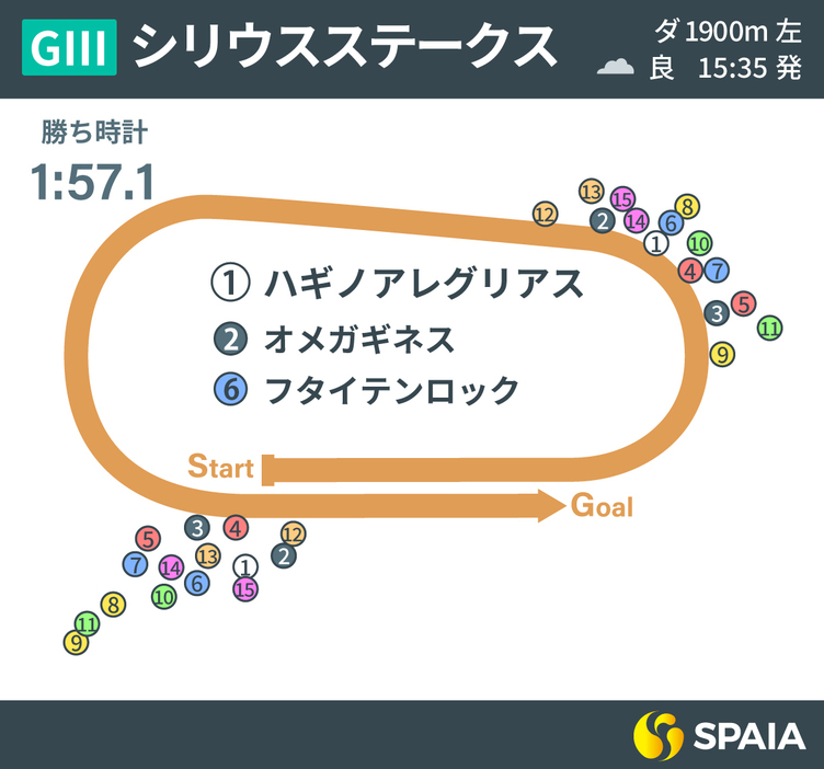 2024年シリウスステークス、レース回顧