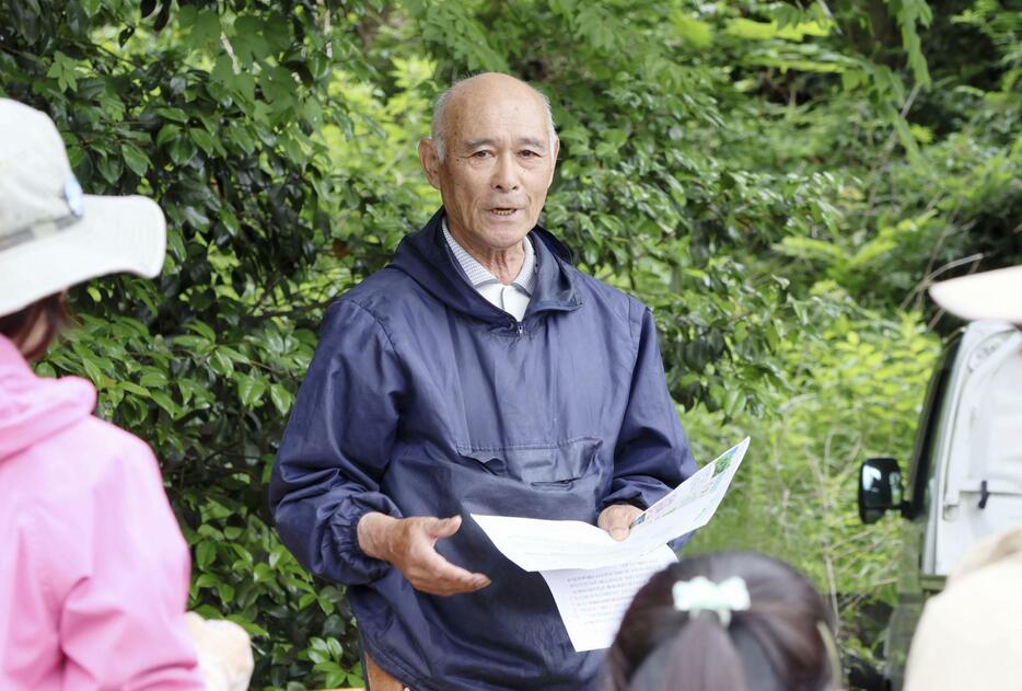 「北限の茶を守る気仙茶の会」の代表を務める菊池司さん＝6月、岩手県陸前高田市