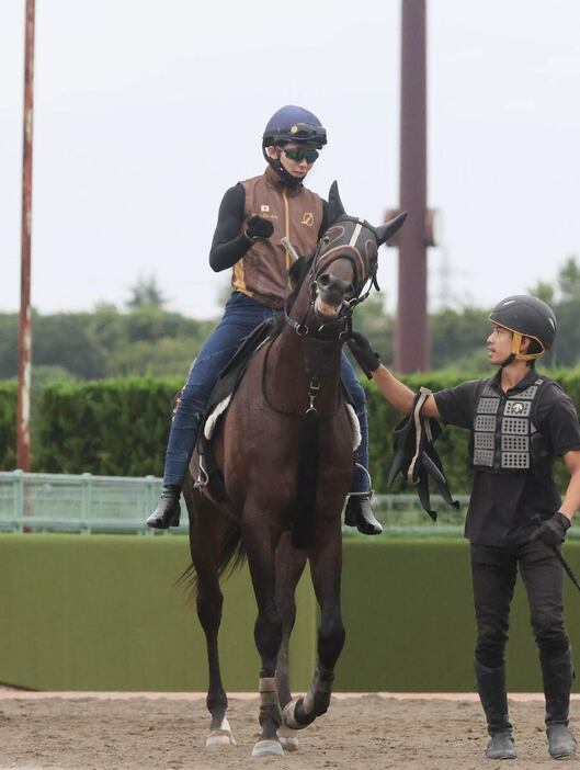 コスモキュランダ＝美浦トレセン（撮影・塩浦孝明）