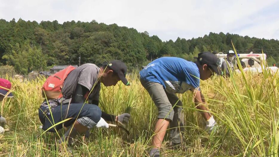 収穫する親子連れら　愛知県豊田市