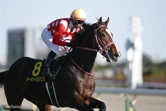 前走古馬相手にOP勝ちしたオーキッドロマンス