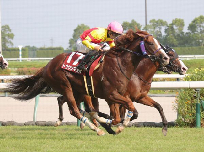 目の覚めるような末脚を披露したトウシンマカオが重賞4勝目をあげた