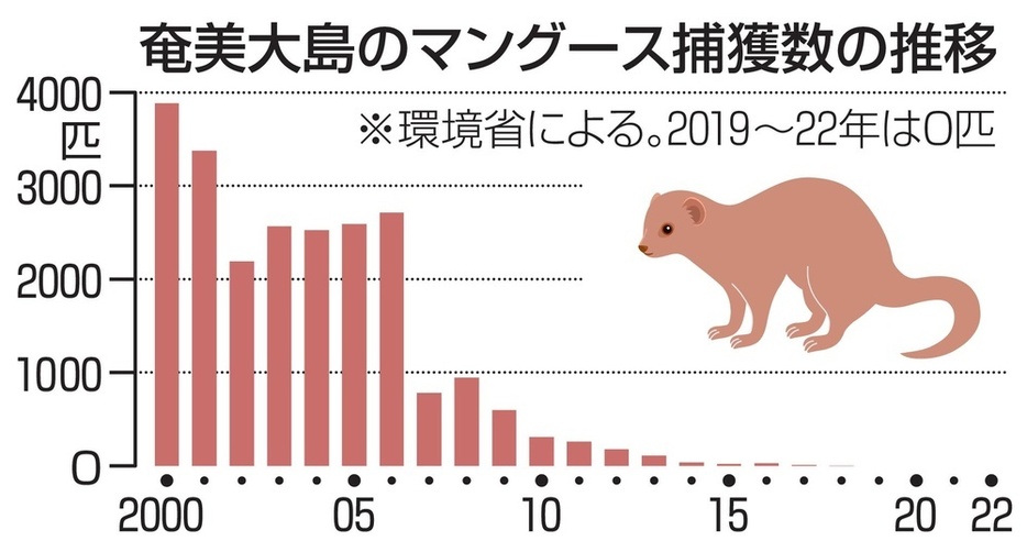 奄美大島のマングース捕獲数の推移