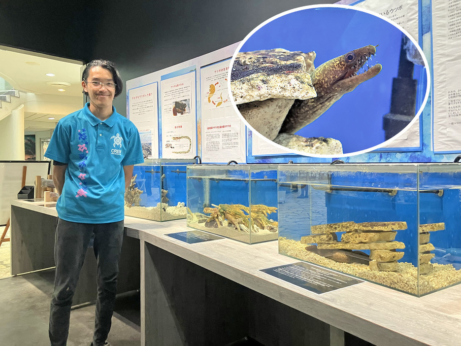 ウツボの展示コーナーを紹介する奄美海洋展示館飼育員の小瀬村岳さんと小瀬村さん一推しの「アズキウツボ」（円内）＝18日、鹿児島県奄美市名瀬