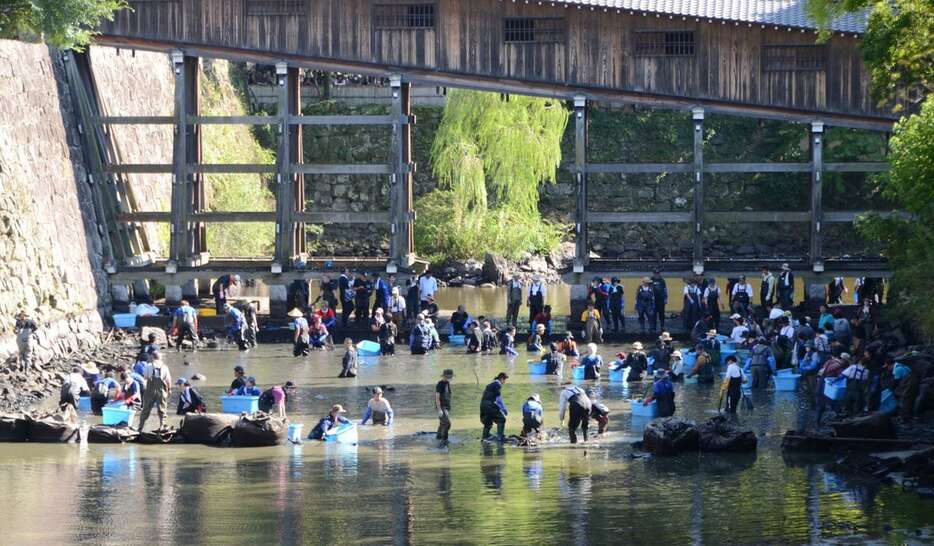 水が抜かれた和歌山城の堀で調査をする参加者ら＝和歌山市