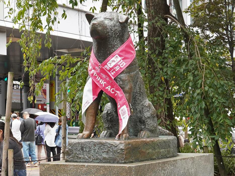 ピンクリボンがかけられている忠犬ハチ公像