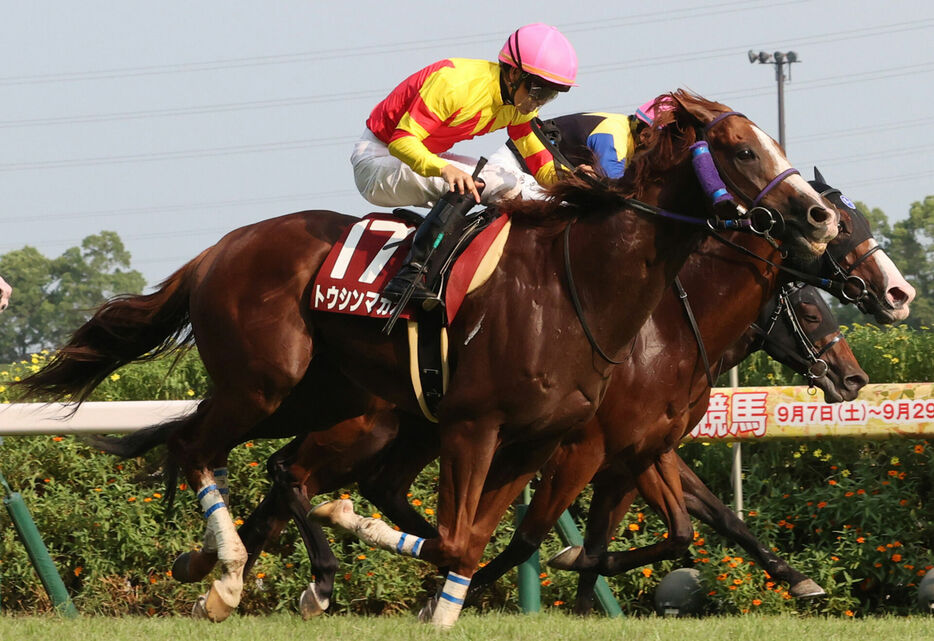 セントウルS・トウシンマカオと菅原明良騎手 (C)スポニチ