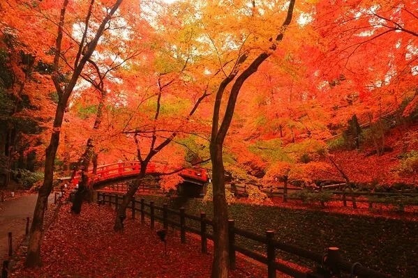 北野天満宮