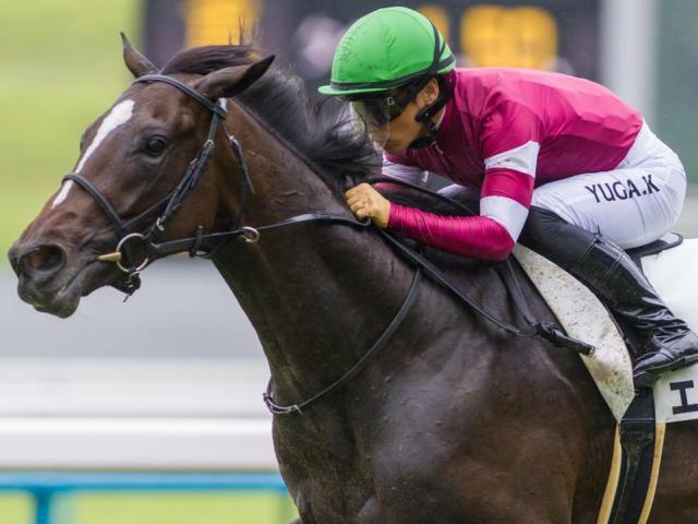 デビュー2連勝を目指すエリキング(今年6月撮影、ユーザー提供：おうどんさん)