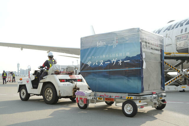 羽田空港に到着した「サバヌーヴォー」の初荷（JAL提供）