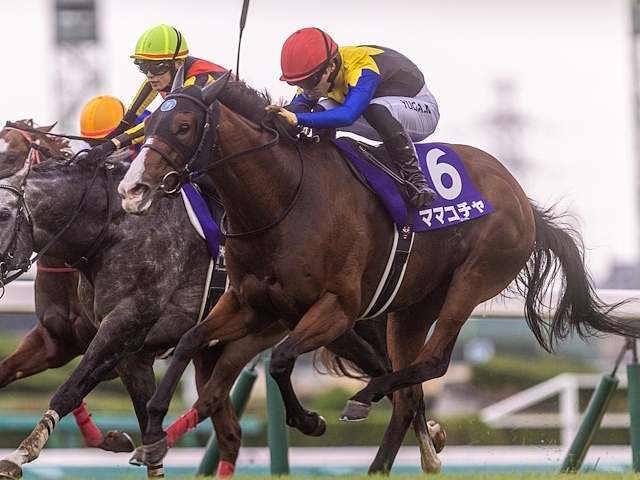 ママコチャ(ユーザー提供：阪神優勝！さん)