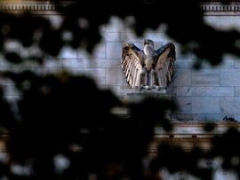 <p>The Marriner S. Eccles Federal Reserve building in Washington, DC, US.</p>