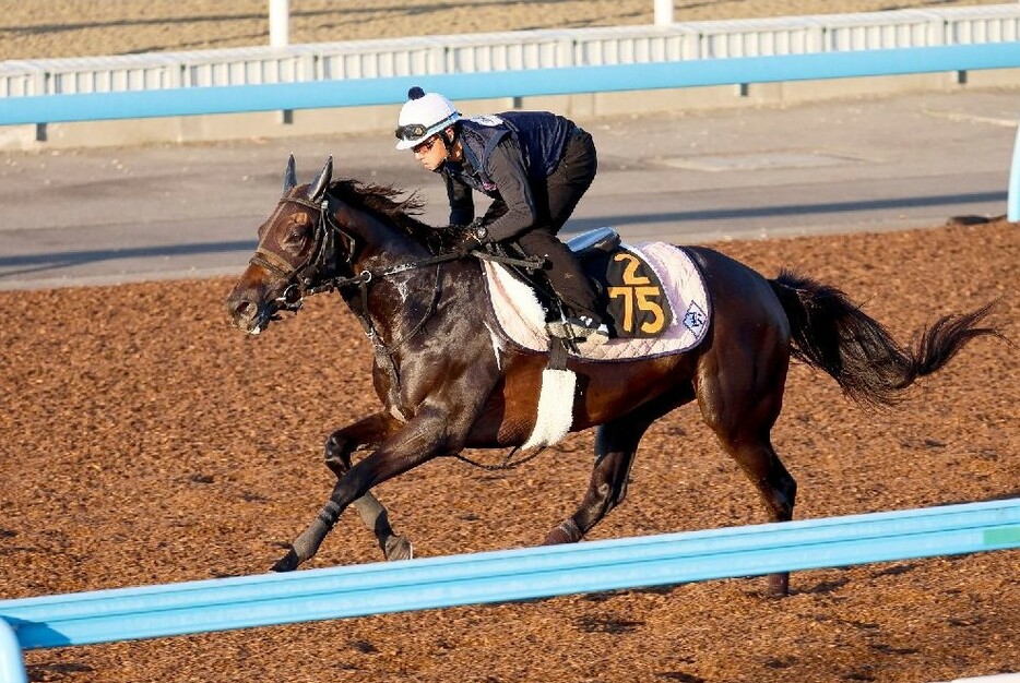 1勝クラスの勝ち方も素晴らしかったカニキュル