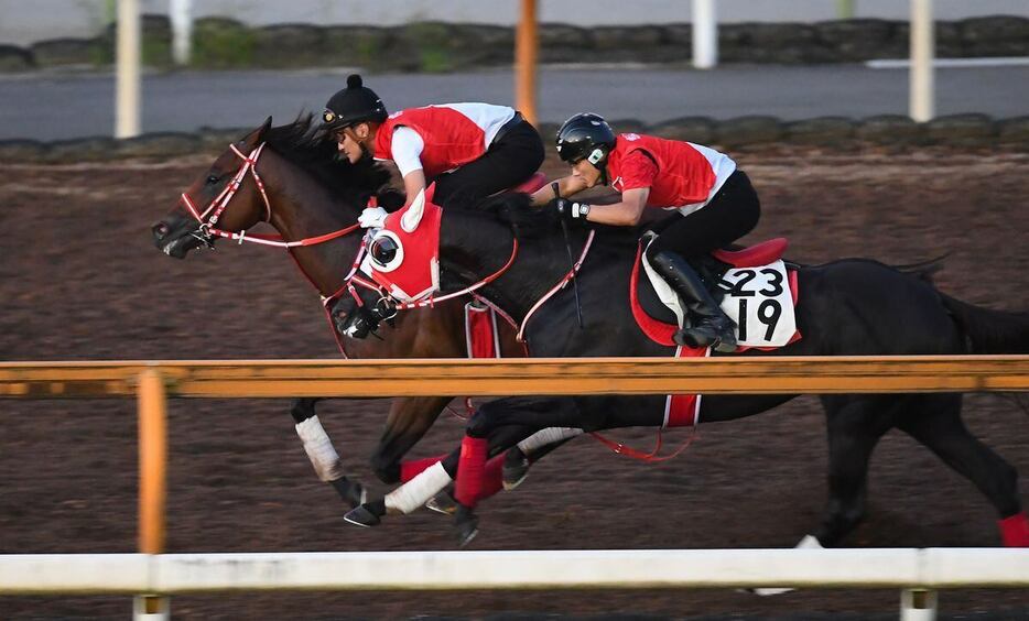 フォーエバーヤング（奥）＝栗東トレセン（撮影・岩川晋也）