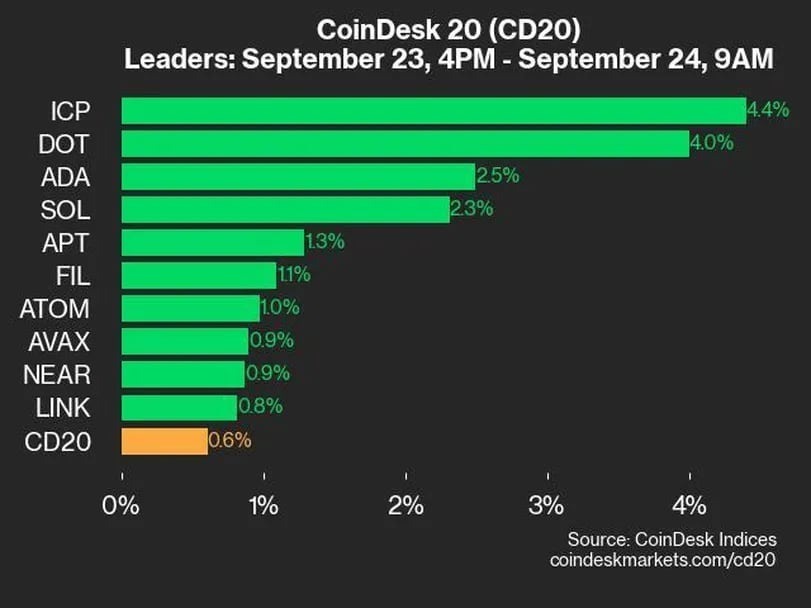 インターネットコンピューターが4.4％上昇、CD20をリード：CoinDesk 20 パフォーマンスアップデート