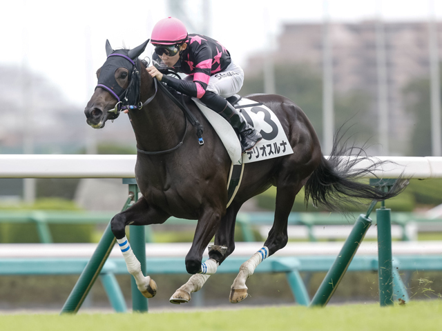 中山5R新馬戦を制したテリオスルナ(撮影：下野雄規)