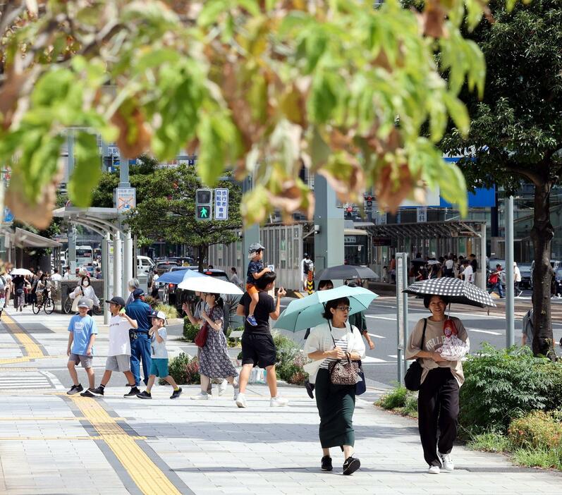 強い日差しを日傘でしのぐ家族連れ（15日午後1時50分）