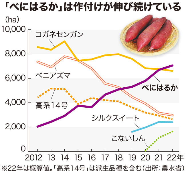 「べにはるか」は作付けが伸び続けている