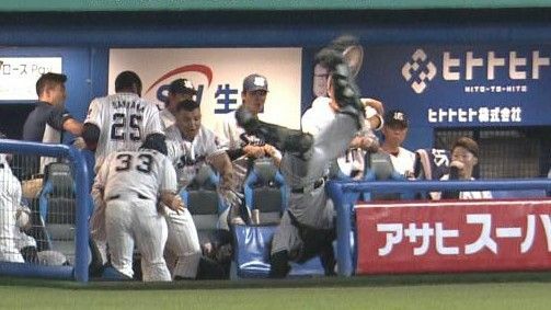 打球を追いかけヤクルトベンチに突っ込む山瀬慎之助選手