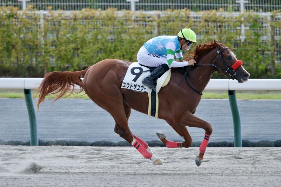 中京3R・ユウトザユウトと団野大成騎手