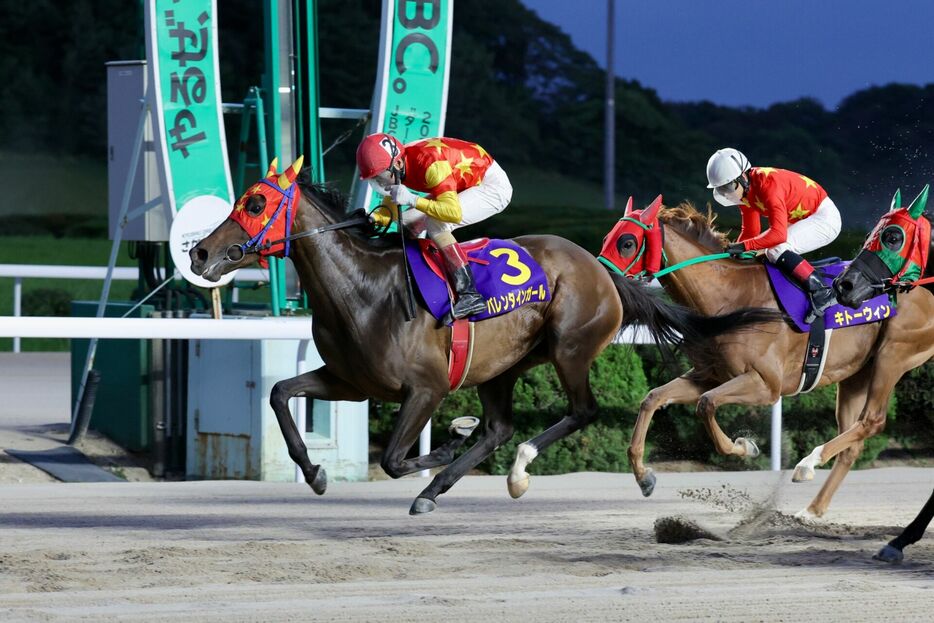 ロータスクラウン賞・バレンタインガールと山口勲騎手 (C)佐賀県競馬組合