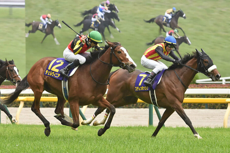 オークス馬チェルヴィニア（左）と桜花賞馬ステレンボッシュが再激突