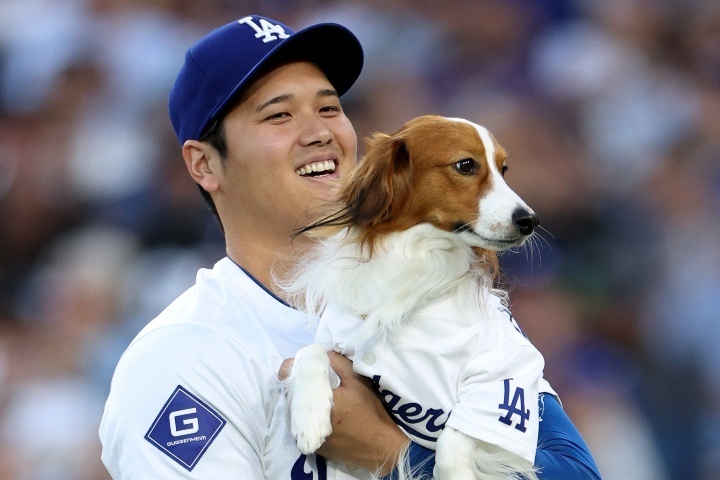 大谷に寄り添う愛犬デコピン。地区Vを決めた直後にグラウンドに現れた。(C)Getty Images