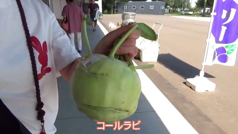 キャベツの芯のような味わいが特徴の「コールラビ」