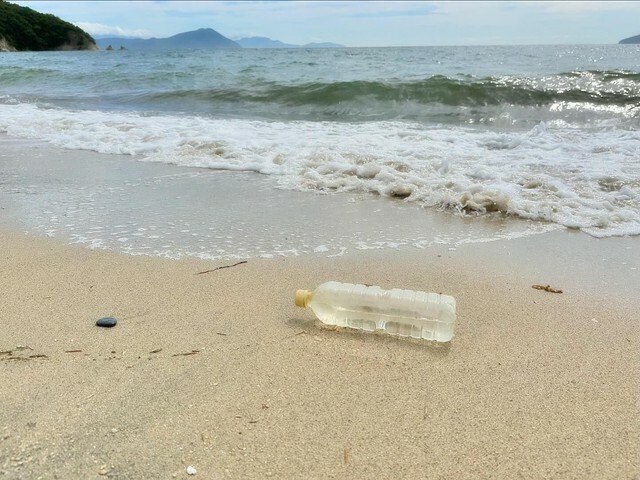 砂浜に流れついた海ごみ