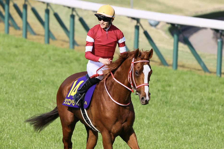 皐月賞・シンエンペラーと坂井瑠星騎手