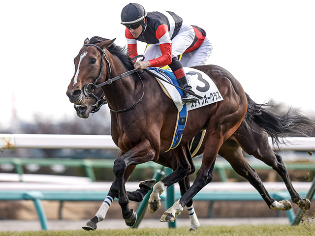 重賞初制覇を目指すスティンガーグラス(撮影：下野雄規)