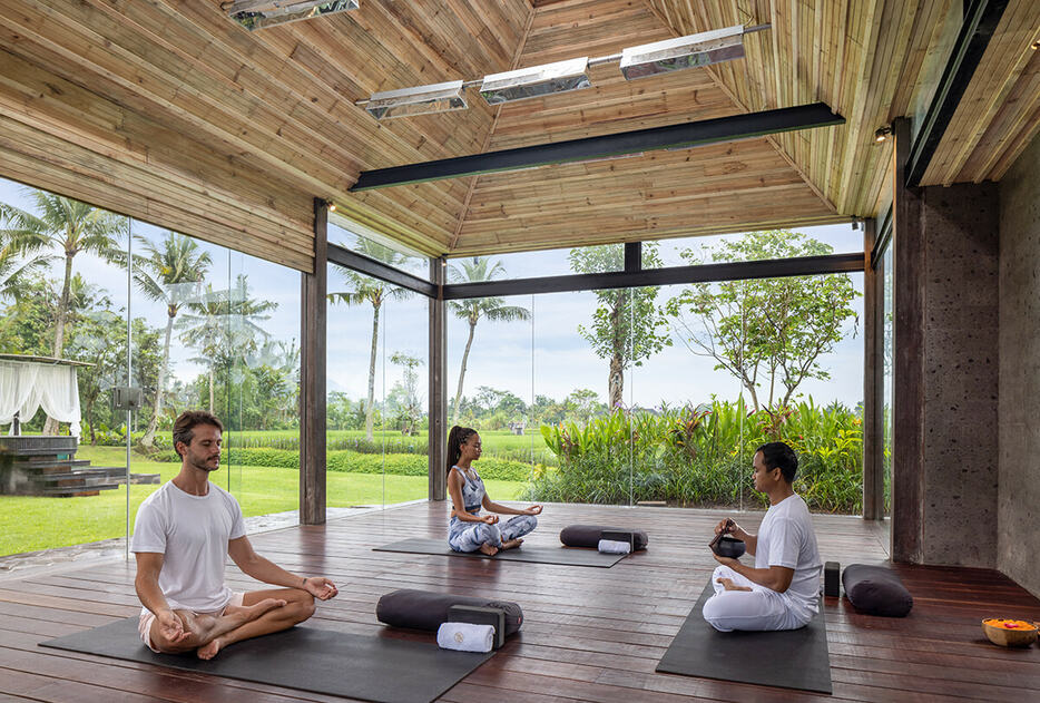 Gdas Bali Health and Wellness Resort