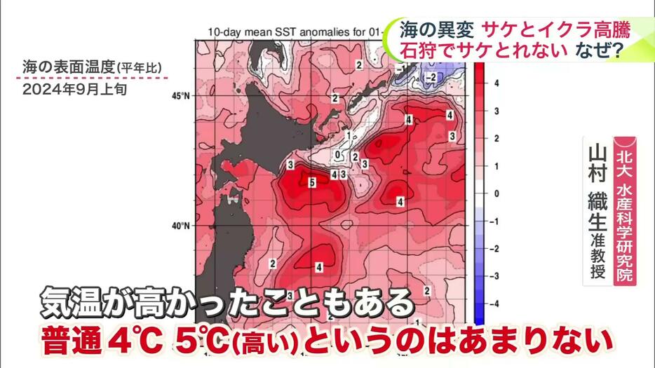 一番の理由は海の水温が高すぎること