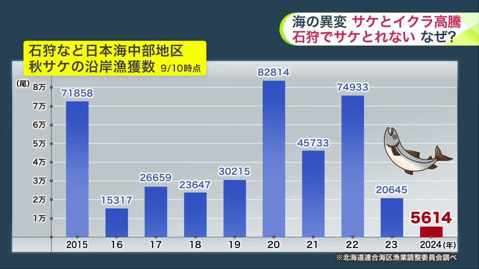 石狩地方など日本海中部のサケの漁獲数