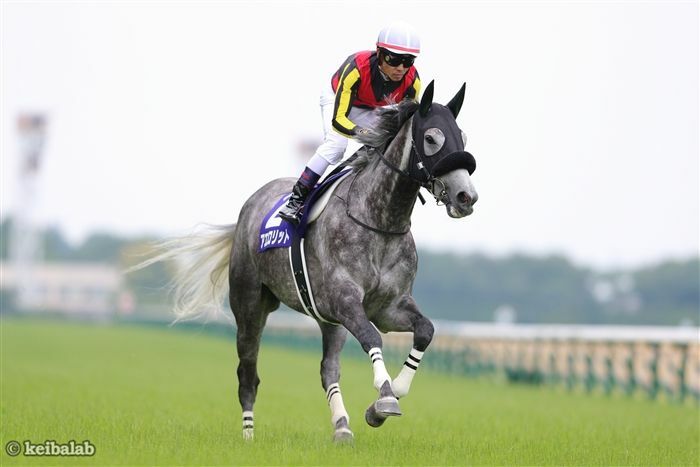 日曜東京デビューのガルダイアの姉・アエロリット